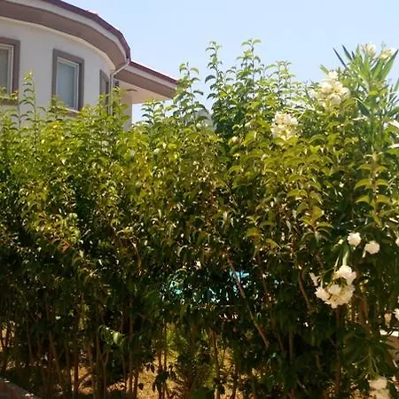 Celebi Dalyan